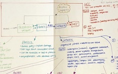 Alcoholic liver disease