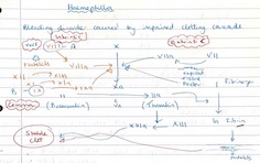 Haemophilia