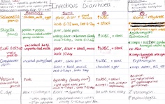 Infectious diarrhoea