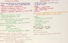 Conjunctivitis and keratitis