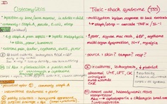 Osteomyelitis and TSS