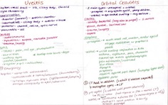 Uveitis and orbital cellulitis